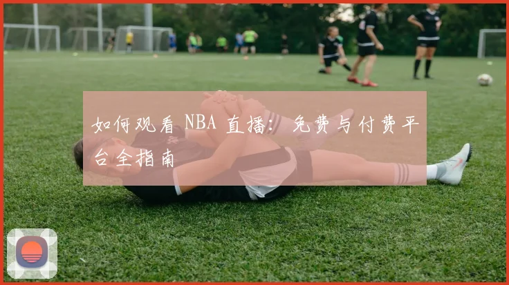 如何观看 NBA 直播：免费与付费平台全指南